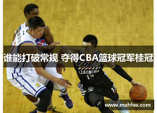 谁能打破常规 夺得CBA篮球冠军桂冠 谁能打破常规 夺得CBA篮球冠军桂冠